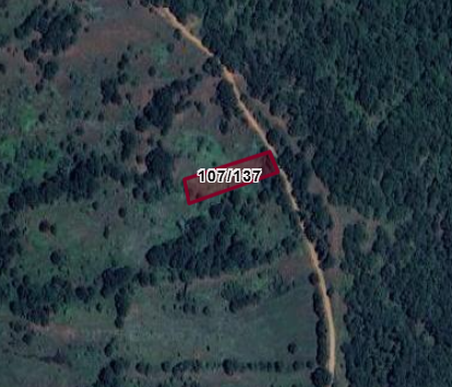 BURSA İNEGÖL YUKARIBALIK MAH.1.200M² TARLA SATILIKTIR - BURSA İNEGÖL fotoğraf 2